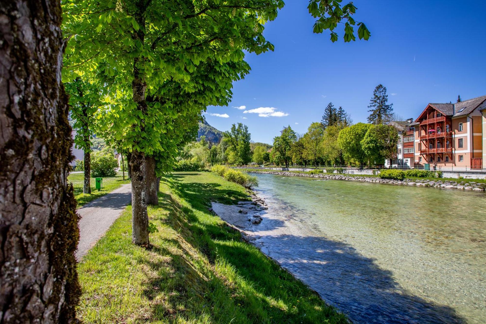 Citycenter Bad Ischl - Studio Apartments Traunkai Eksteriør billede